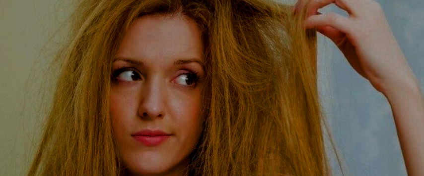 Dry Hair: Recovery And Proper Care